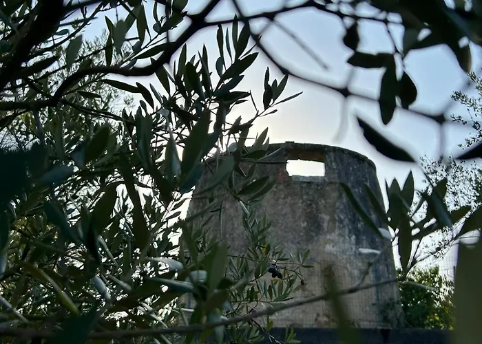 Farm stay Casa Da Alagoa *